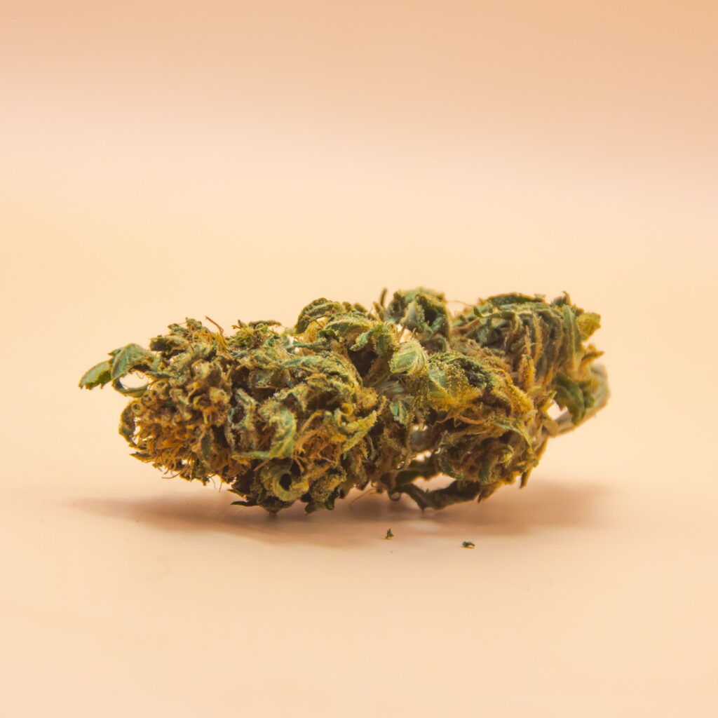 Tete de fleur CBD Cheese cake greenhouse 100% bio CBD Occitan