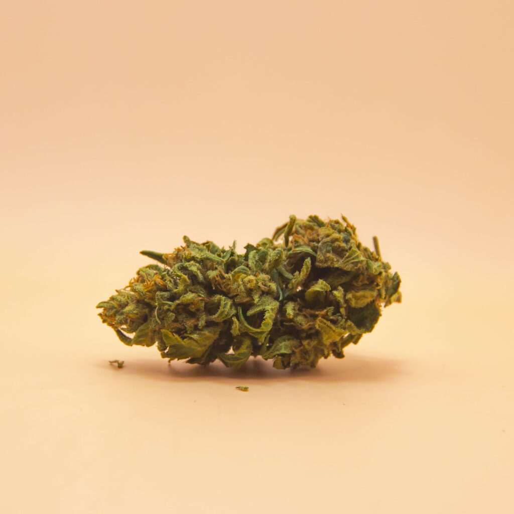 Tete fleur CBD Pink Panthere par CBD Occitan
