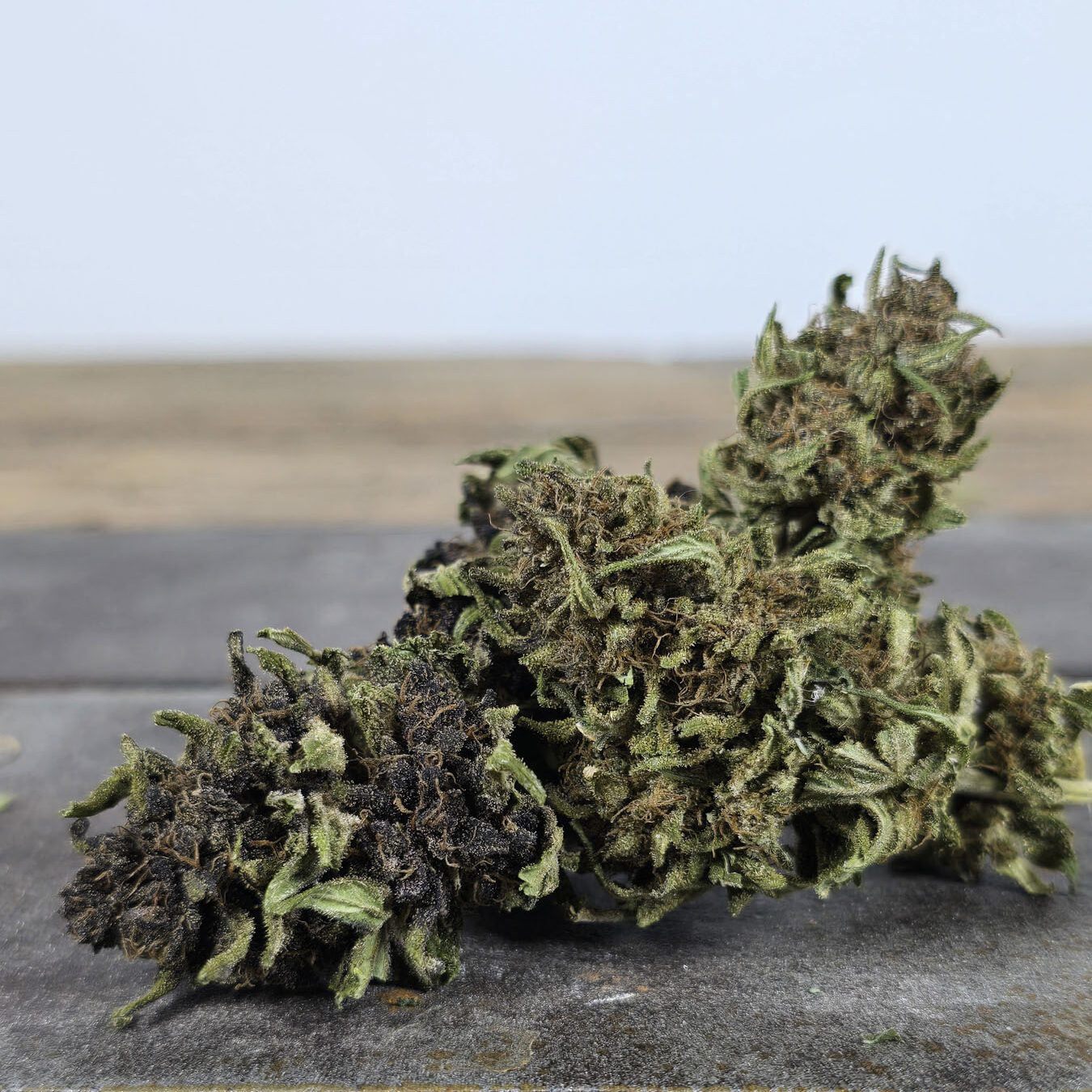 fleurs CBD occitan france cbd Occitan 100% français haute qualité