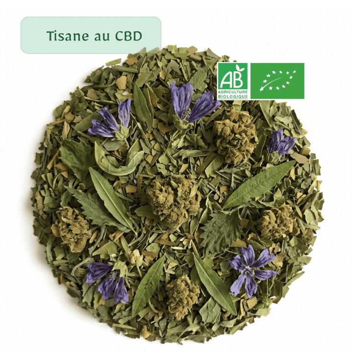 tisane au CBD BIO par CBD Occitan