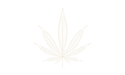 cbd artisanal local