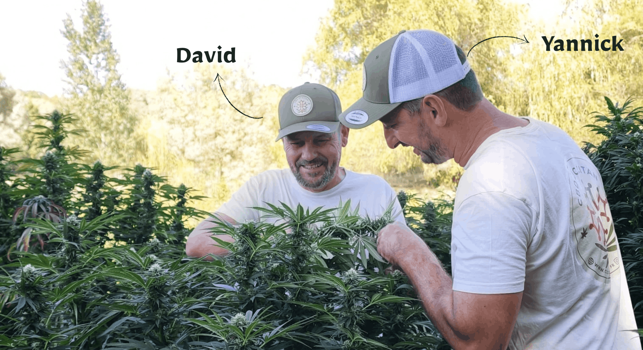 yannick et david producteurs et fondateurs de CBD Occitan