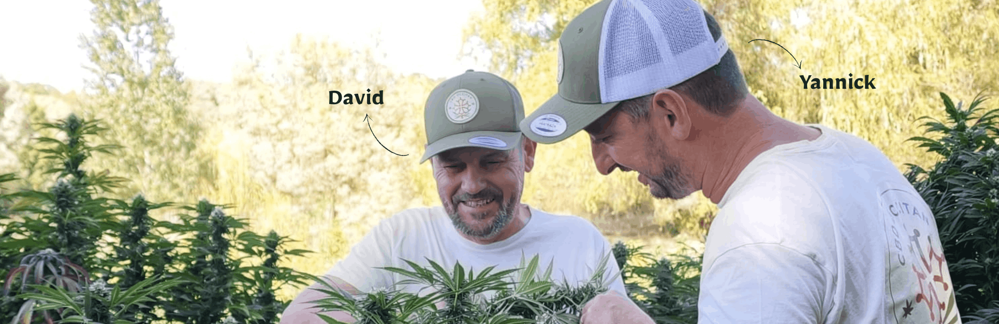 yannick et david producteurs et fondateurs de CBD Occitan